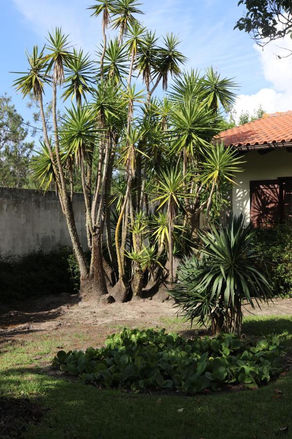 A Quinta Duna Salir de Porto Buitenkant foto