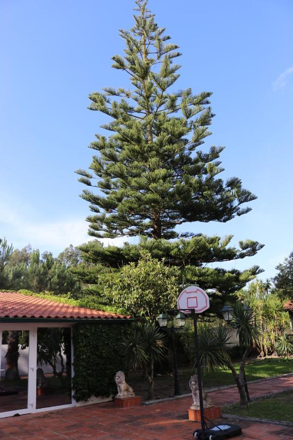 A Quinta Duna Salir de Porto Buitenkant foto